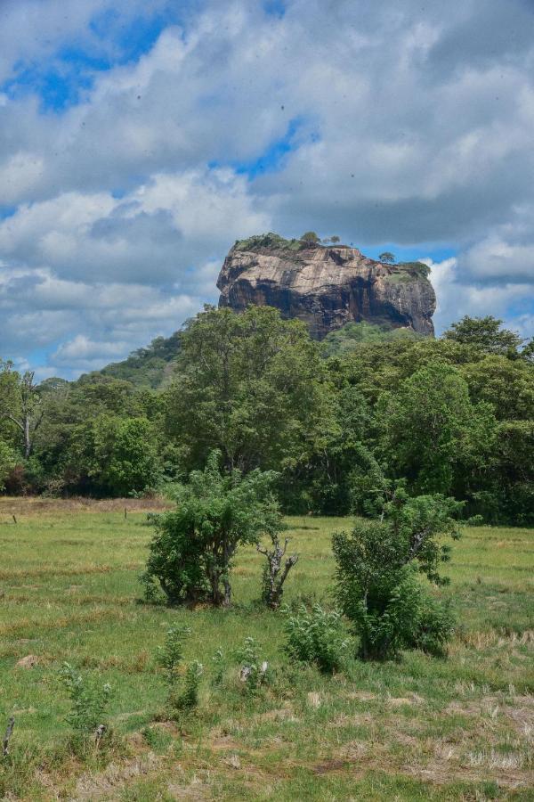 Castle View Sigiriya Hotel Exterior photo