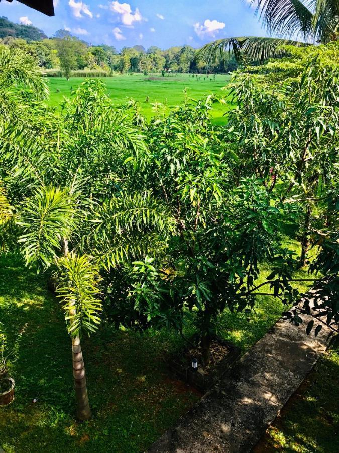 Castle View Sigiriya Hotel Exterior photo