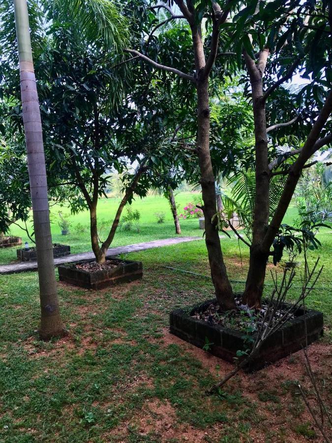 Castle View Sigiriya Hotel Exterior photo