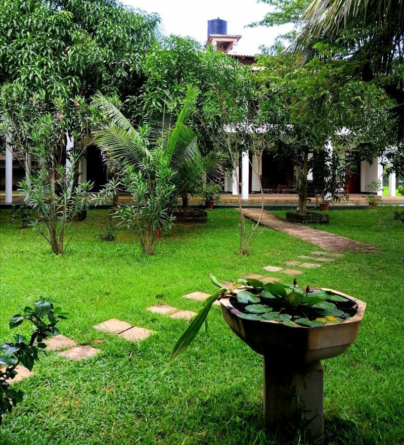 Castle View Sigiriya Hotel Exterior photo