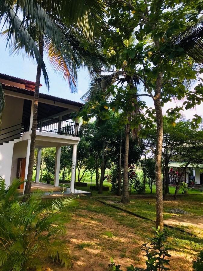 Castle View Sigiriya Hotel Exterior photo