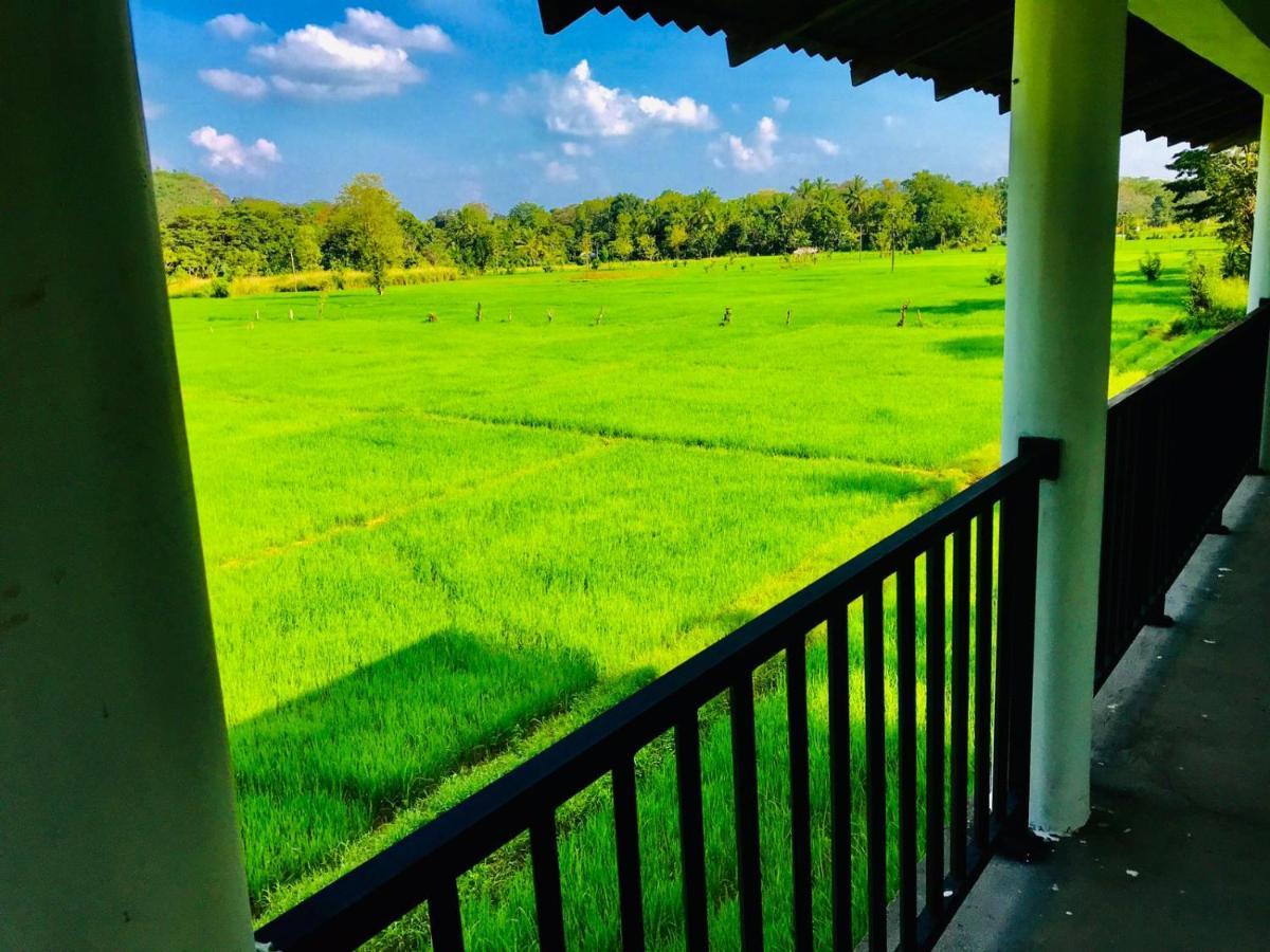 Castle View Sigiriya Hotel Exterior photo