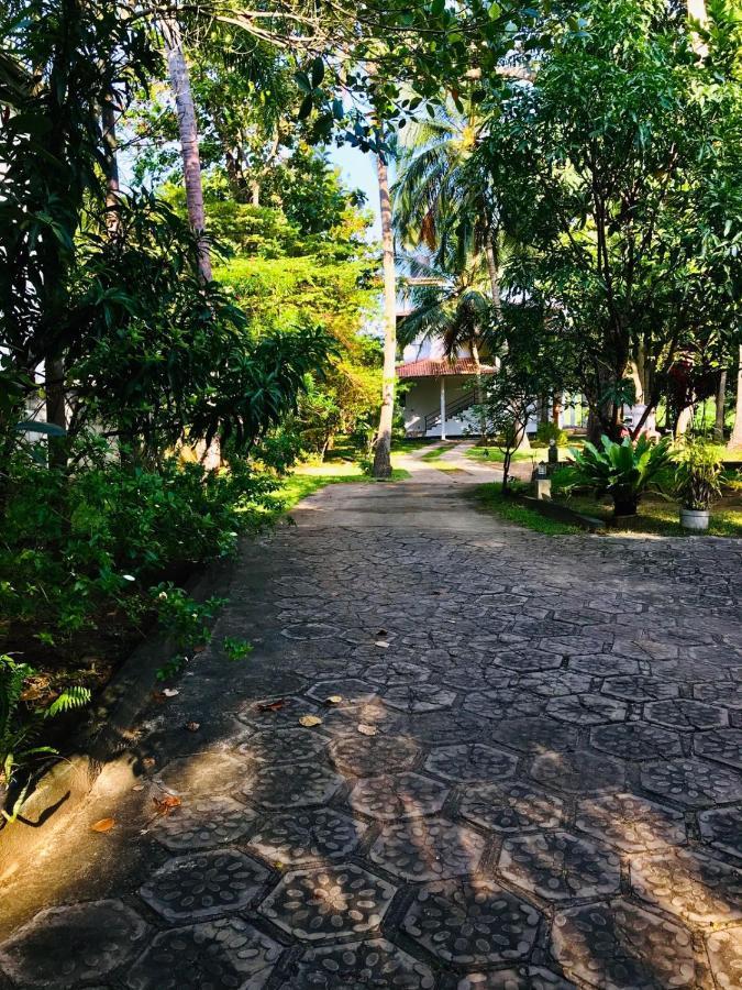 Castle View Sigiriya Hotel Exterior photo