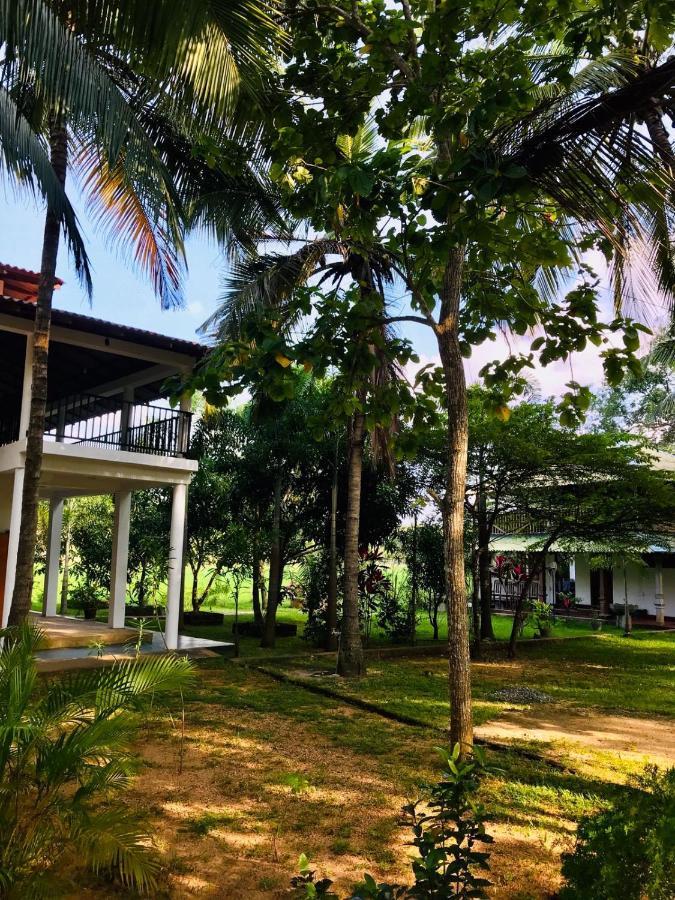 Castle View Sigiriya Hotel Exterior photo