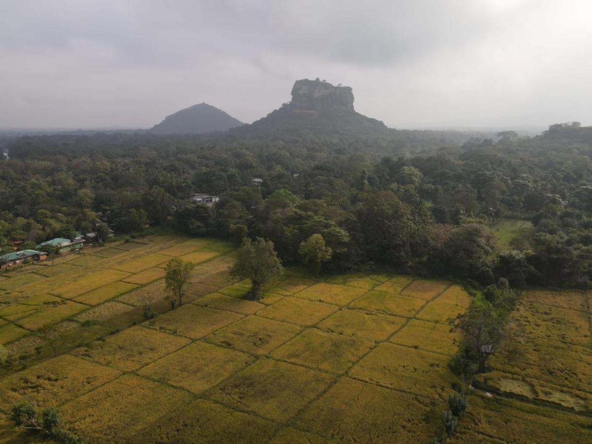 Castle View Sigiriya Hotel Exterior photo