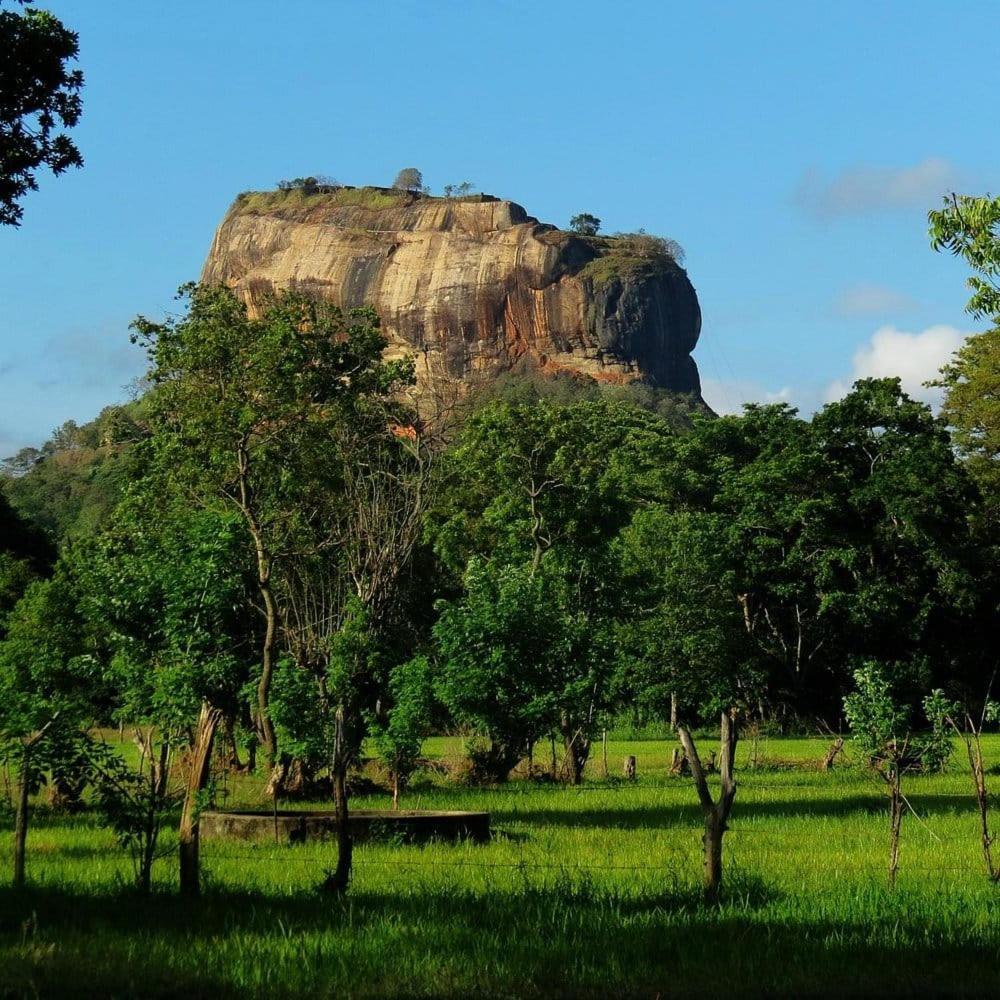 Castle View Sigiriya Hotel Exterior photo